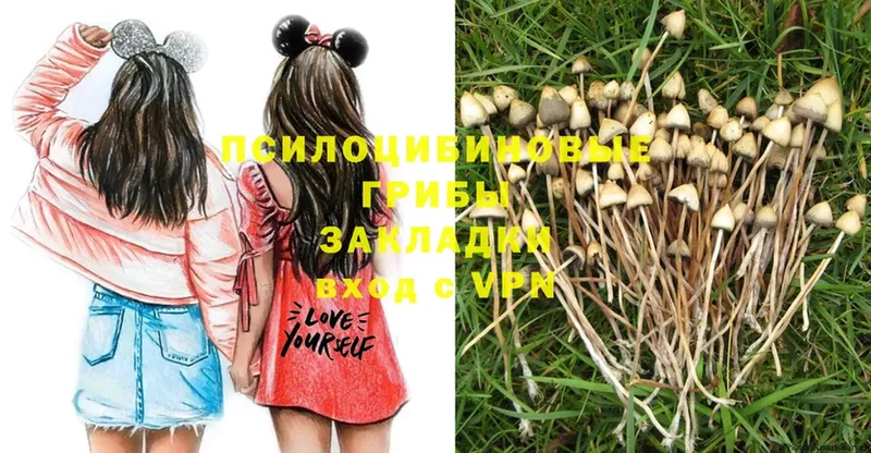 Псилоцибиновые грибы MAGIC MUSHROOMS  купить   Старая Русса 